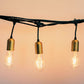 Litehouse Gold Socket Plug-In Festoon Outdoor Bulb String Lights - Vintage LED Bulb, Black