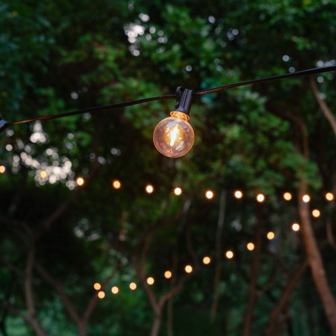Litehouse Plug-In Mini Outdoor Bulb String Lights - Classic LED Bulbs, Black