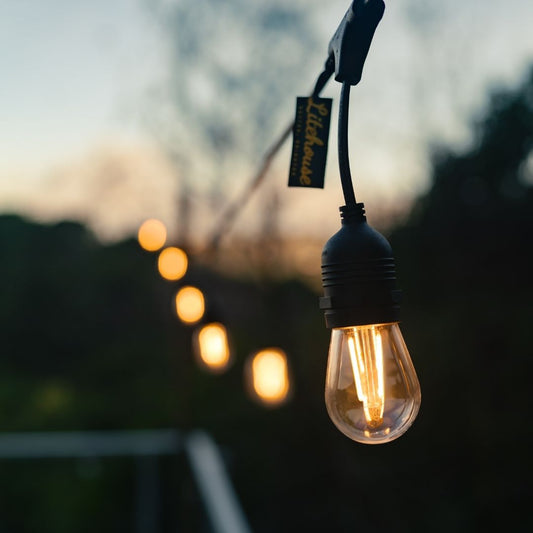 Litehouse Plug-In Festoon Outdoor Bulb String Lights - Traditional LED Bulb, Black