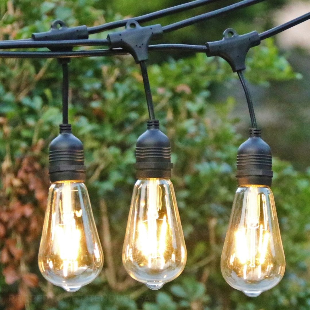 Litehouse Plug-In Festoon Outdoor Bulb String Lights - Vintage LED Bulb, Black