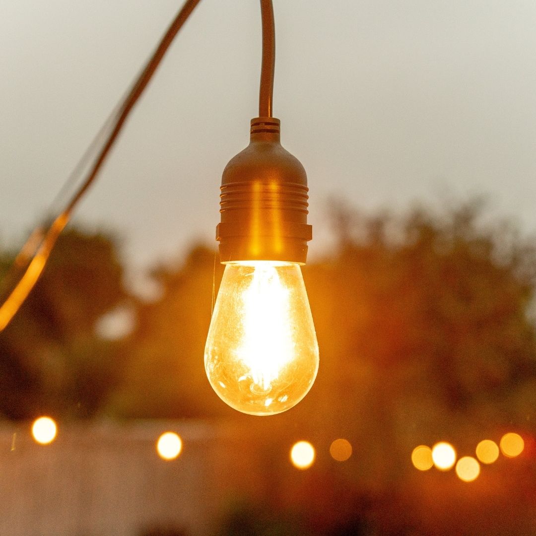 Litehouse 50cm Bulb Spacing Plug-In Festoon Bulb String Lights  - Traditional LED Bulbs, Black