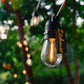 Litehouse Solar Festoon Outdoor Bulb String Lights - Traditional LED Bulbs, Black