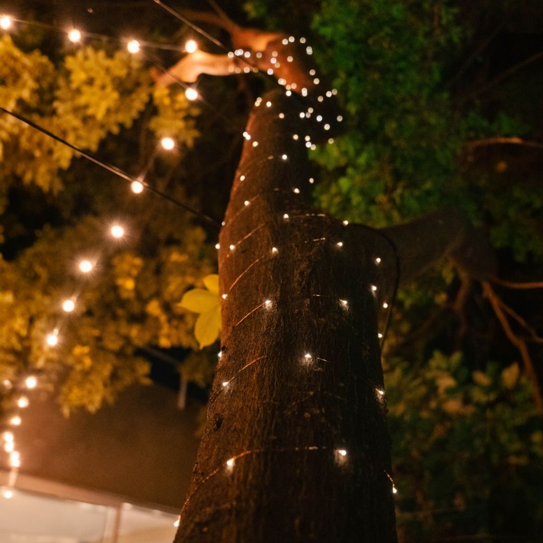 Litehouse Solar Outdoor LED Fairy Lights - Copper Wire