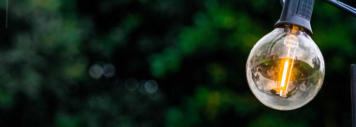 Shatterproof Bulb Replacements Products | Litehouse