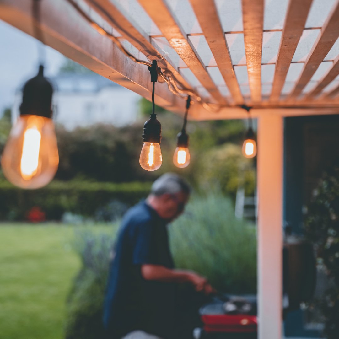 Litehouse Plug - In Festoon Outdoor Bulb String Lights - Traditional LED Bulb, Black - Litehouse