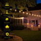 Litehouse 10m LED Solar Festoon Retro Bulb String Lights -10 Bulbs (White) - Litehouse