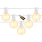 Litehouse 30 LED Classic Bulb String Lights - Std Voltage - 220-240V - White String - Litehouse