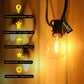 Litehouse LED Classic Bulb String Lights - Low Voltage - 5V - Black String - Litehouse