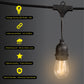 Litehouse LED Festoon Outdoor Bulb String Lights - Traditional Bulb - 220-240V - Black String - Litehouse