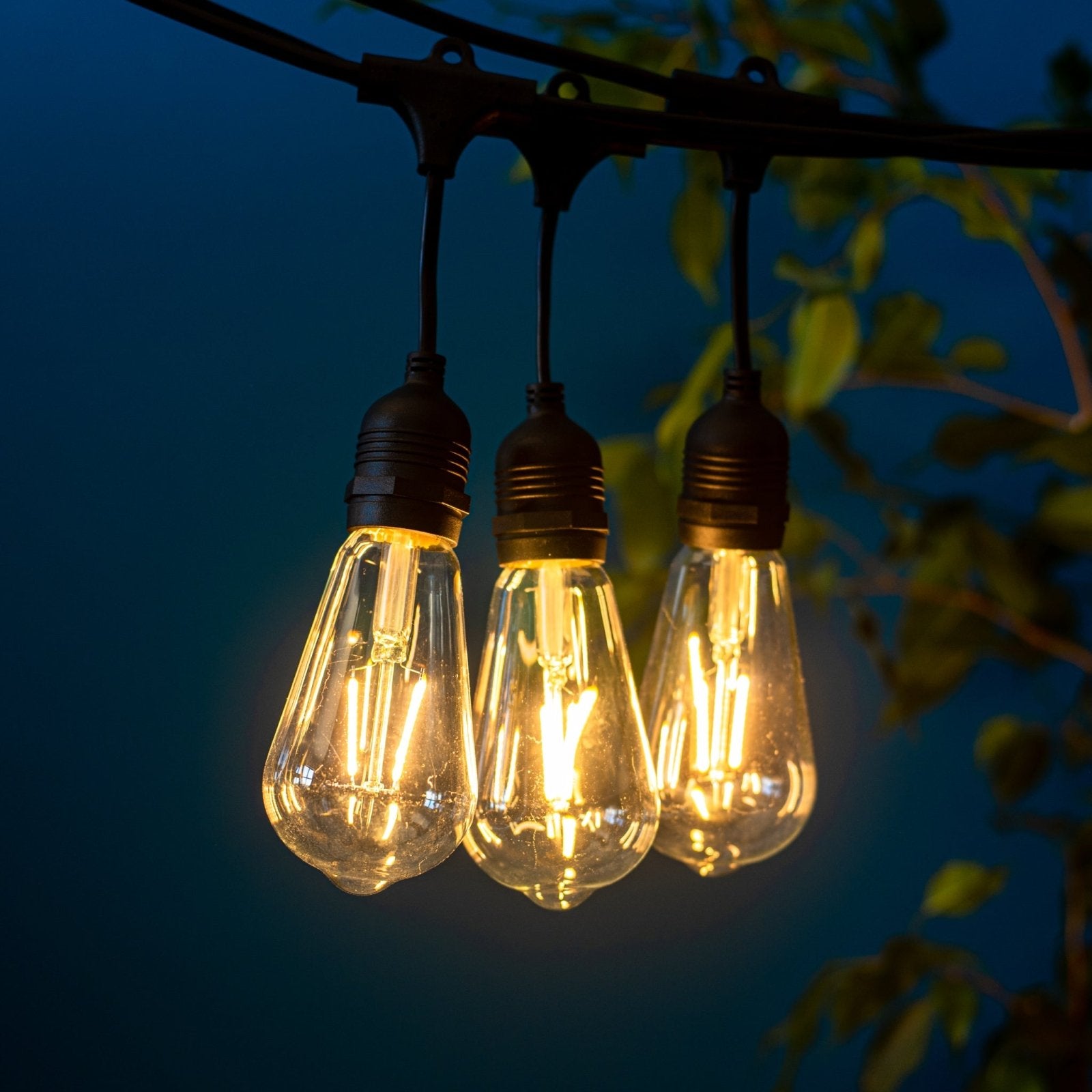 Litehouse LED Festoon Outdoor Bulb String Lights - Vintage Bulb - 220-240V - Black String - Litehouse